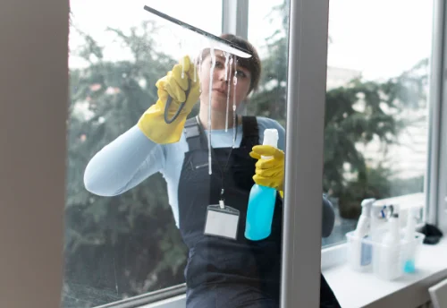 Nettoyage de vitres intérieures et extérieures à Saint-Allouestre